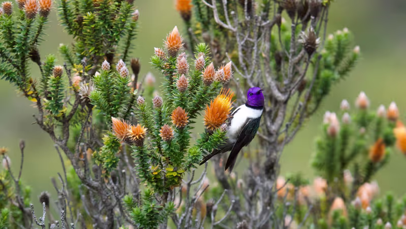 Quito Private Tour - 