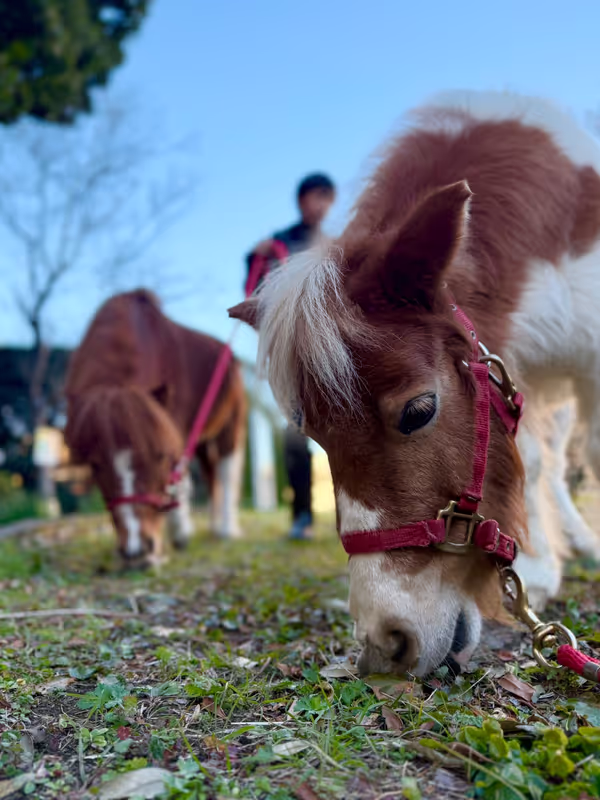 Yokohama Private Tour - 
