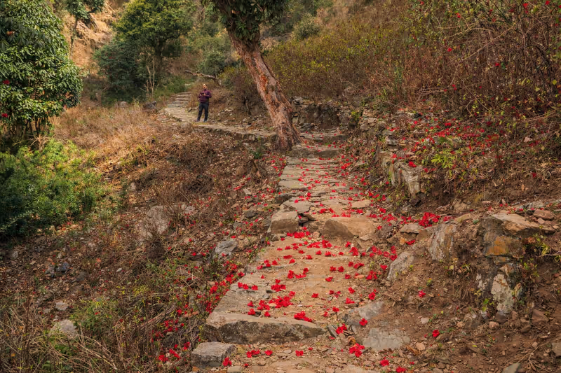 Rishikesh Private Tour - Trail: Mahavatar Babaji Cave