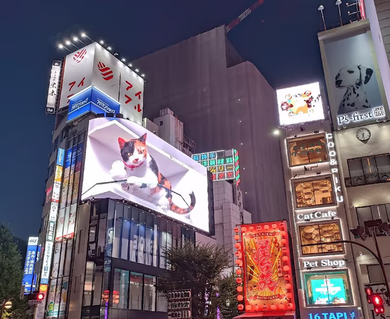 Tokyo Private Tour - 3D du chat