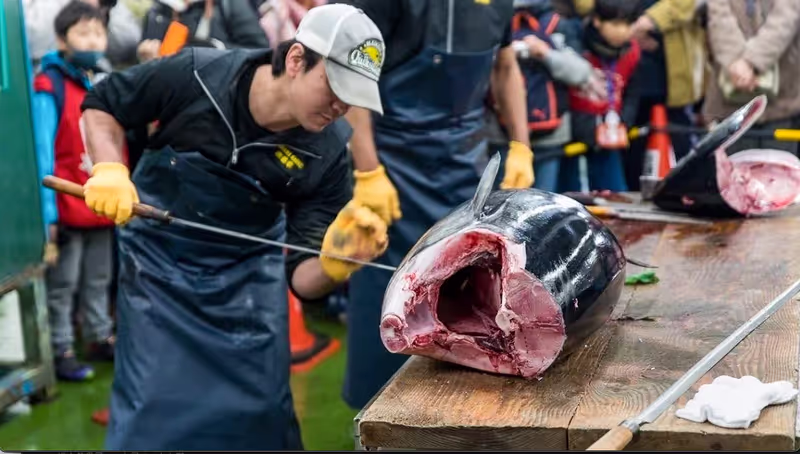 Yokohama Private Tour - 