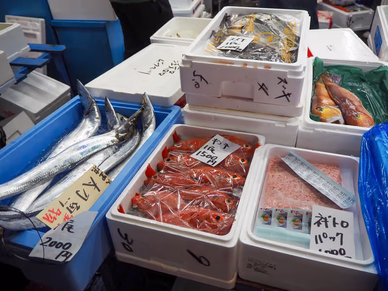 Yokohama Private Tour - 