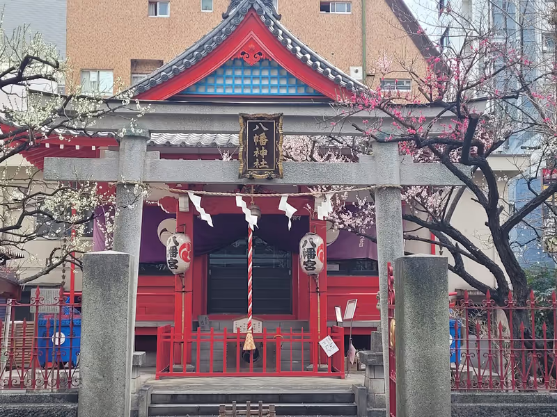 Tokyo Private Tour - Asakusa plum trees in bloom
