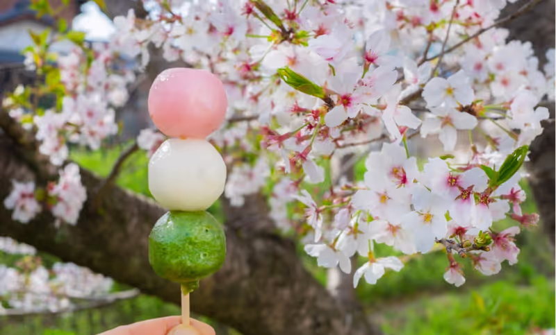 Osaka Private Tour - 