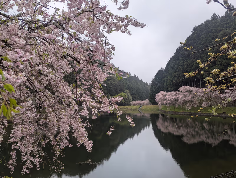 Tokyo Private Tour - 