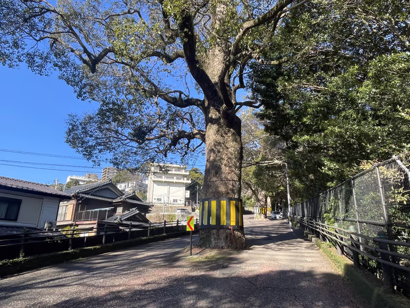 Nagasaki Private Tour - Unique Street on the hillside area
