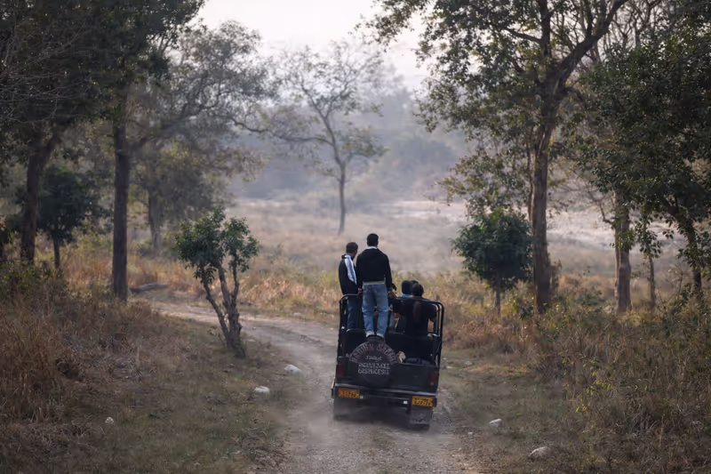 Rishikesh Private Tour - Off-road safari through misty forest of Rajaji