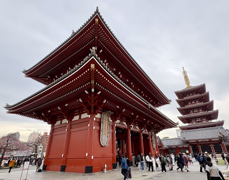 Tokyo Private Tour - Nio-Tor und Pagode , Asakusa