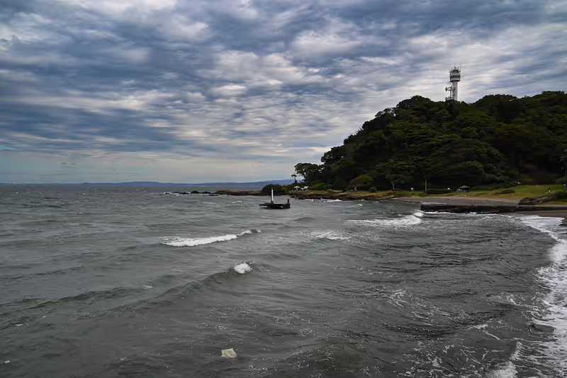 Kanagawa Private Tour - 