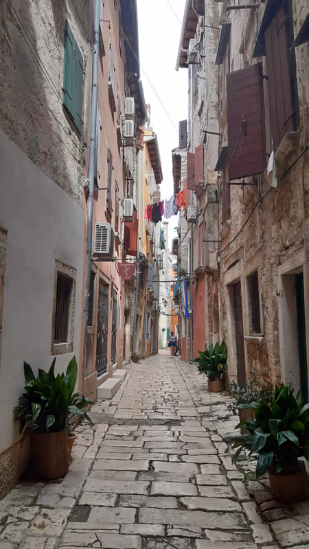 Istria Private Tour - 