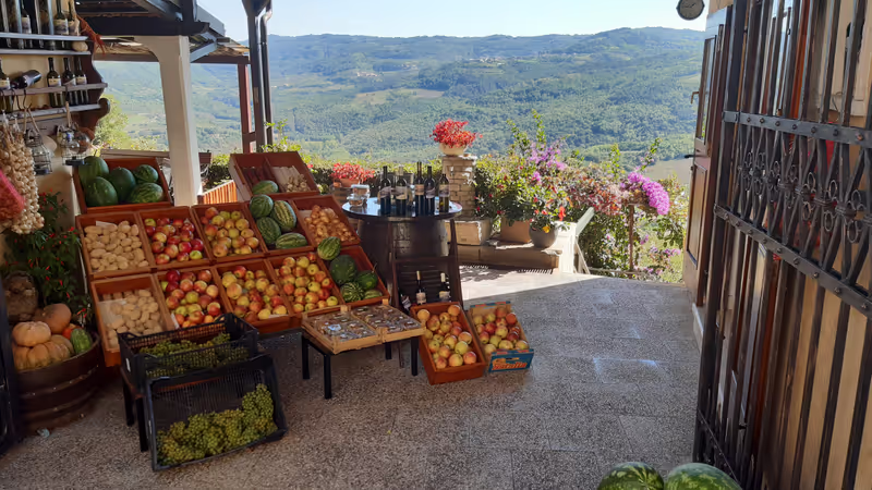 Istria Private Tour - 