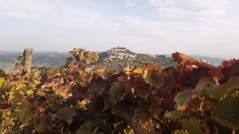 Istria Private Tour - 