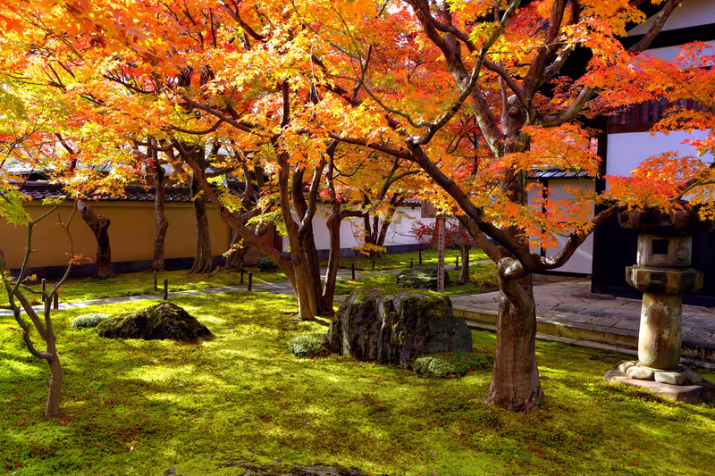 Kyoto Private Tour - 