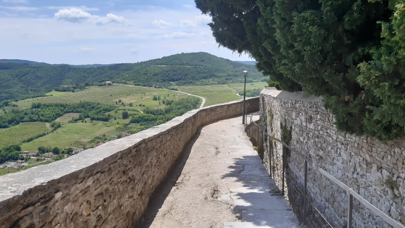 Istria Private Tour - 