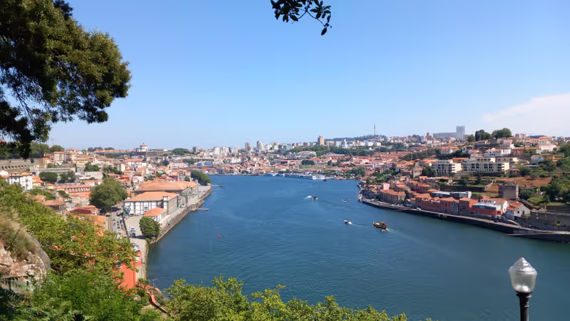 Porto Private Tour - View from Crystal Palace Gardens