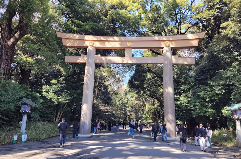 Tokyo Private Tour - Enter the Sacred Forest of Meiji Jingu