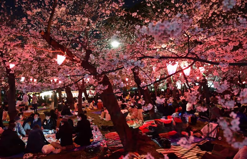 Nagoya Private Tour - 