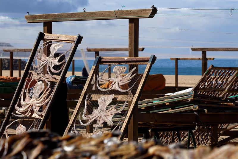 Porto Private Tour - Nazaré