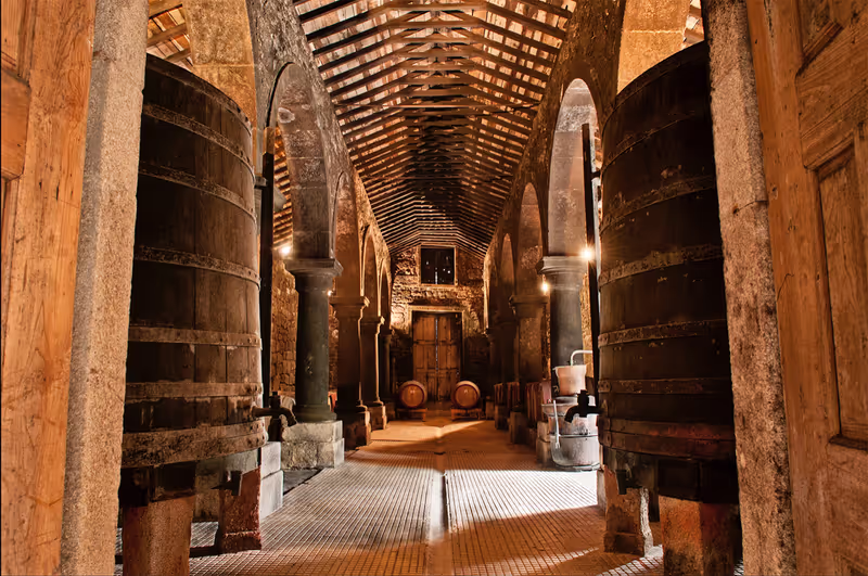 Porto Private Tour - 