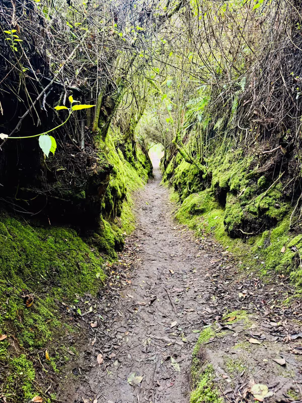 Quito Private Tour - 