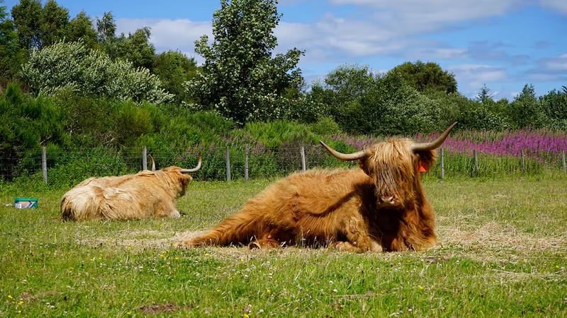 Inverness Private Tour - 