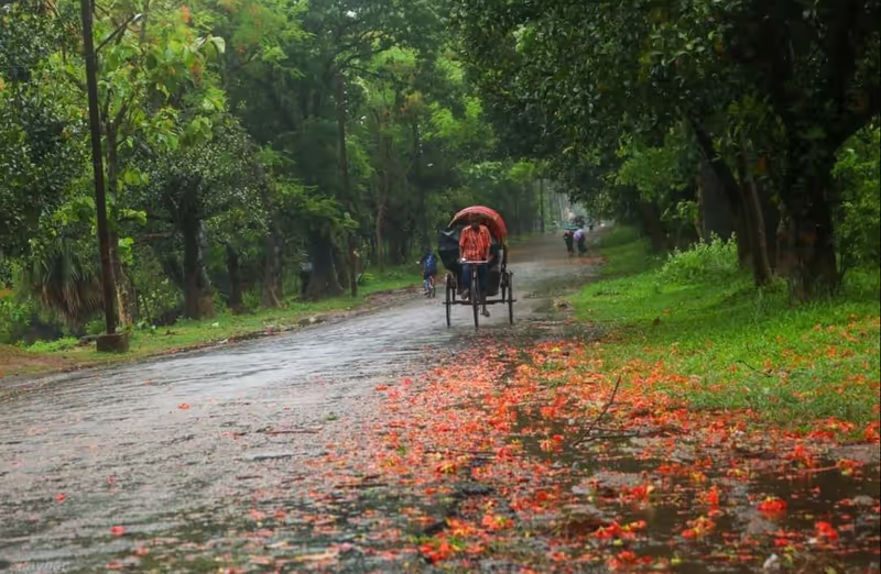 Dhaka Private Tour - 