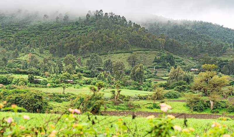 Addis Ababa Private Tour - 