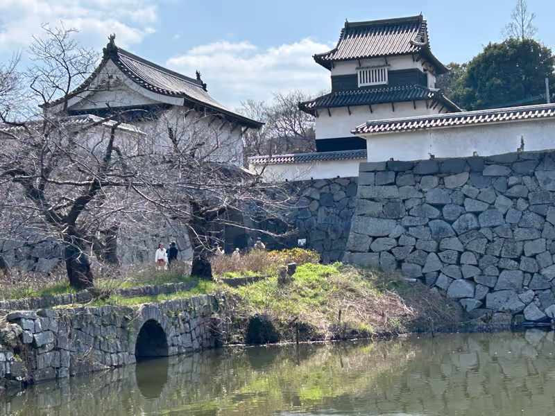 Fukuoka Private Tour - Ohori Park
