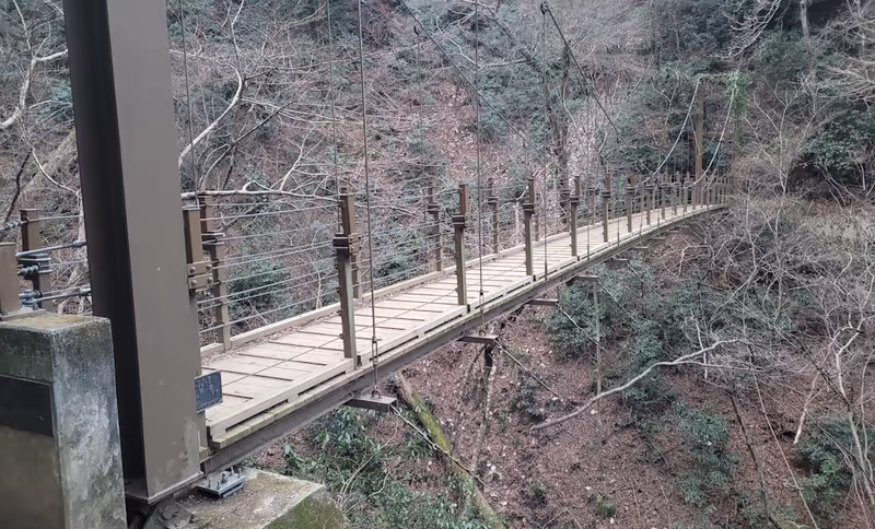 Tokyo Private Tour - Pont suspendu dans la forêt