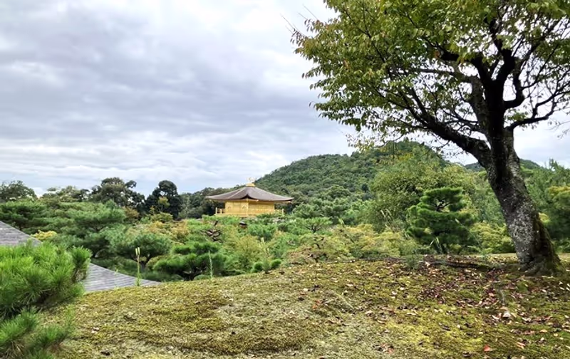 Kyoto Private Tour - Distant View