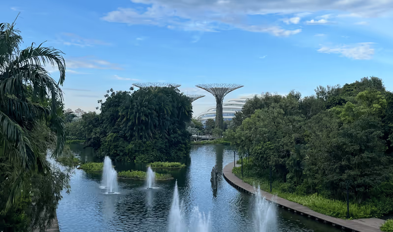 Singapore Private Tour - Dragonfly & Kingfisher Lakes
