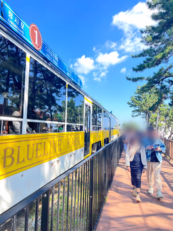 Busan Private Tour - 