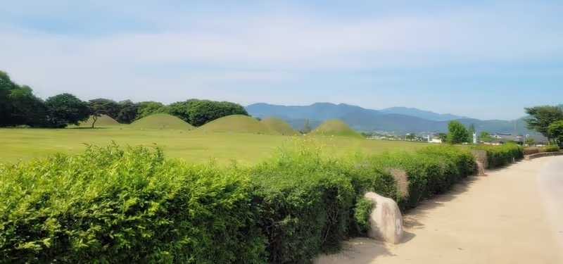 Busan Private Tour - 