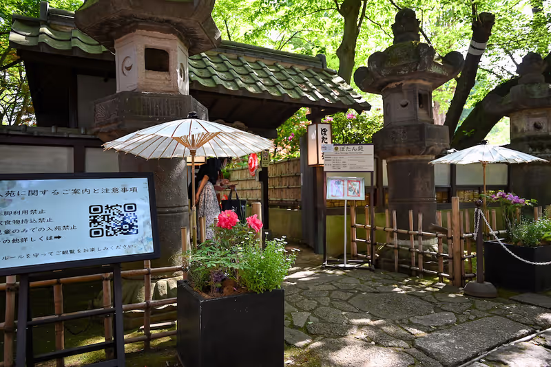 Kanagawa Private Tour - Peony Garden