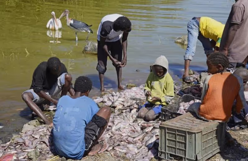 Addis Ababa Private Tour - 