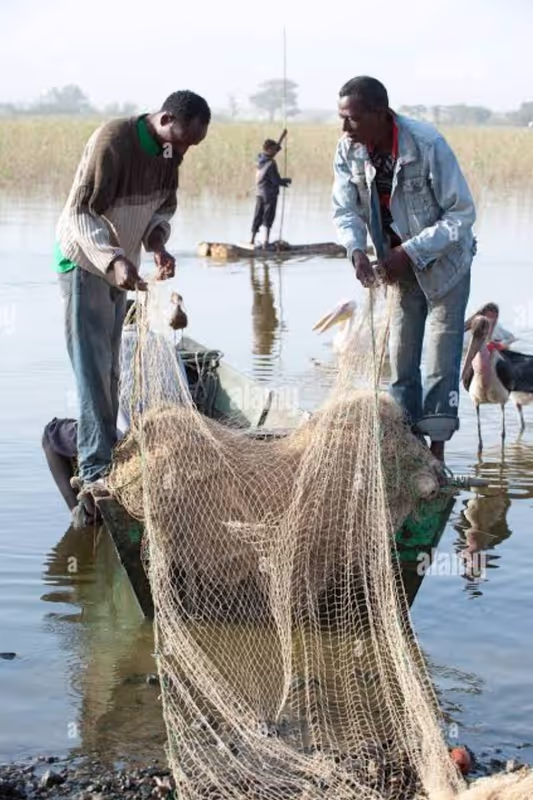 Addis Ababa Private Tour - 