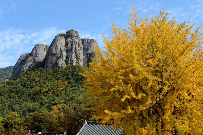 Daegu Private Tour - 