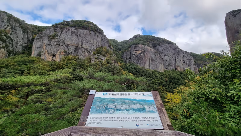 Daegu Private Tour - 