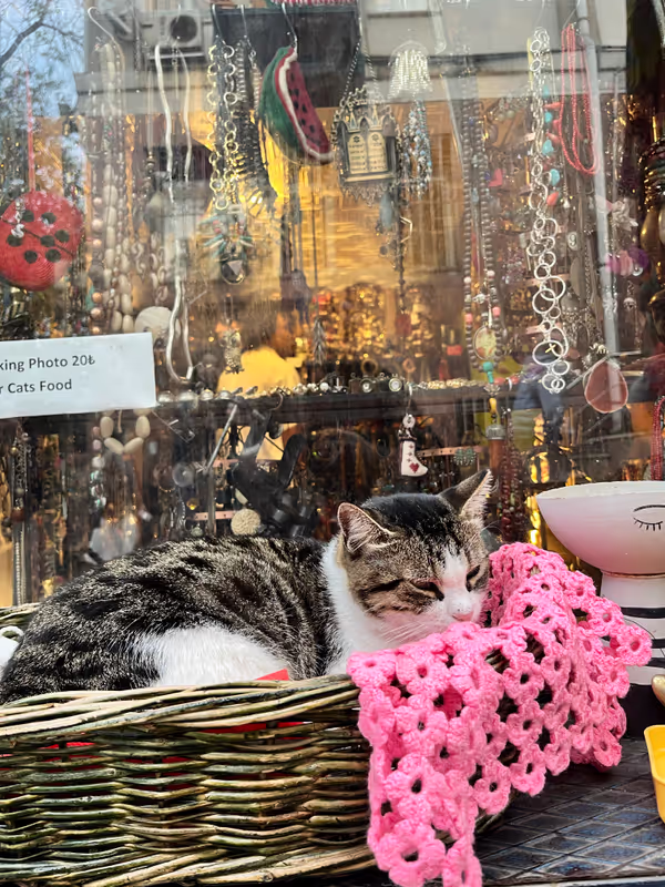 Istanbul Private Tour - CATStanbul