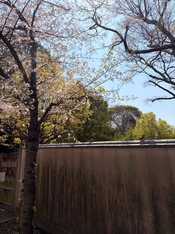 Osaka Private Tour - 