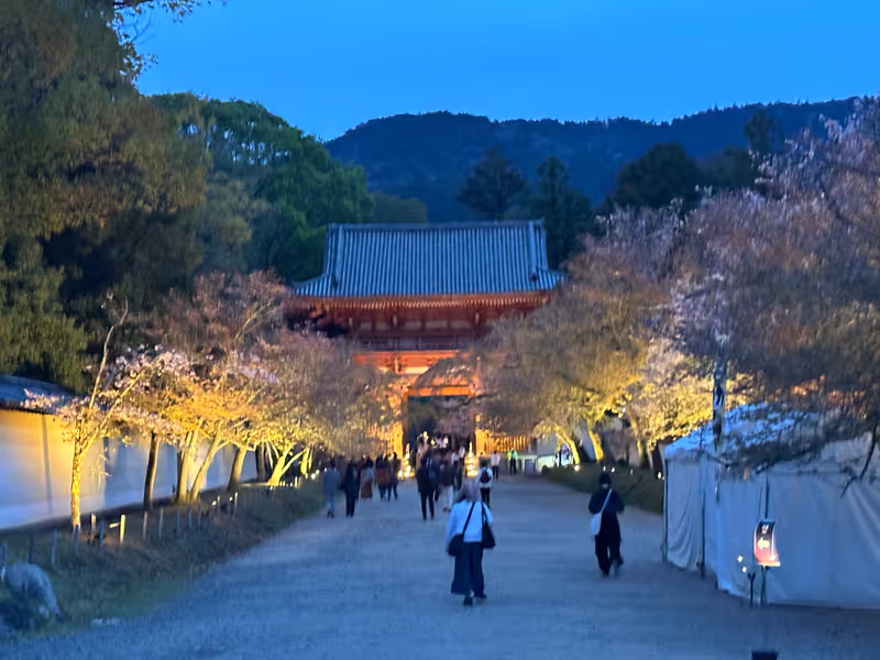 Kyoto Private Tour - 