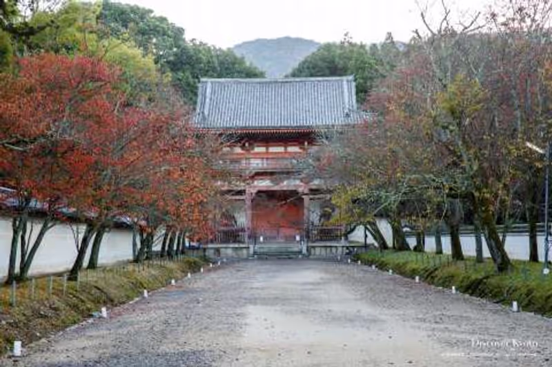 Kyoto Private Tour - 
