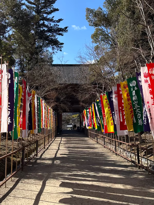 Kyoto Private Tour - 