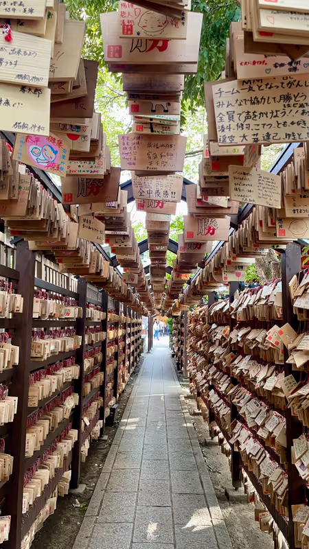 Saitama Private Tour - Hikawa Shrine