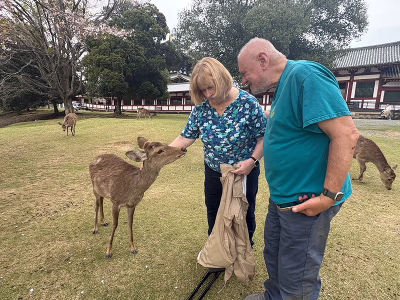 Nara Private Tour - 