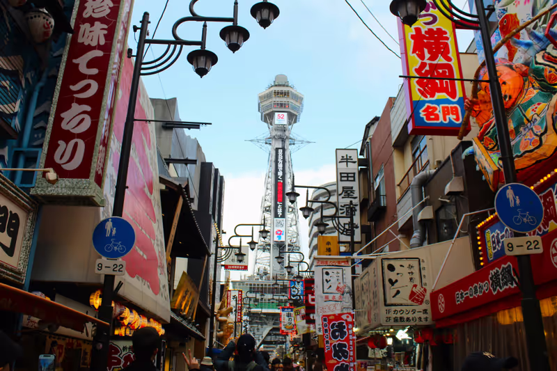 Osaka Private Tour - 