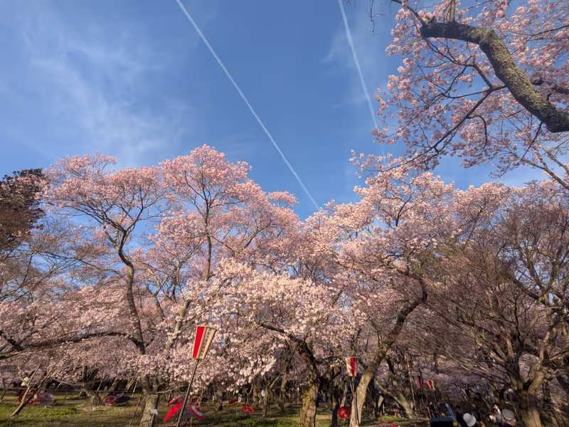 Nagano Private Tour - 