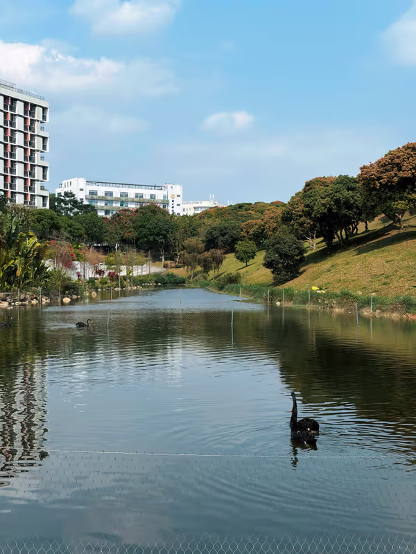 Shenzhen Private Tour - 