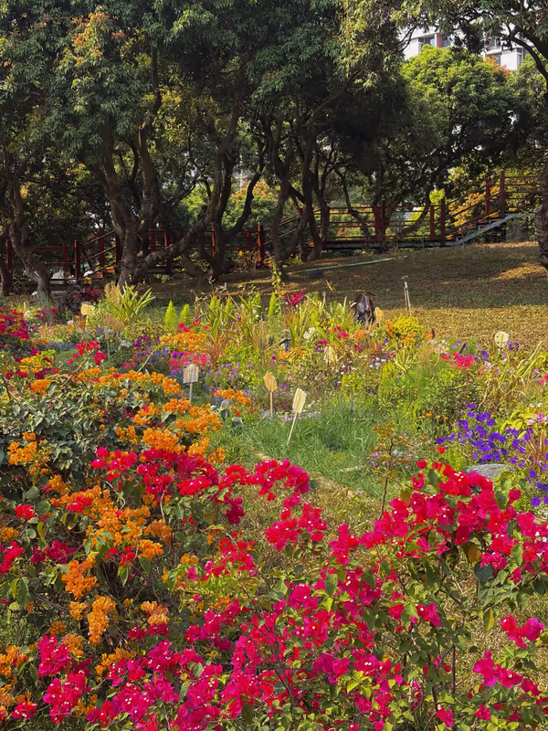 Shenzhen Private Tour - 