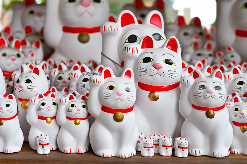 Kanagawa Private Tour - Gotokuji, Lucky Cat Temple